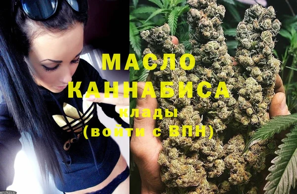 мет Дмитров