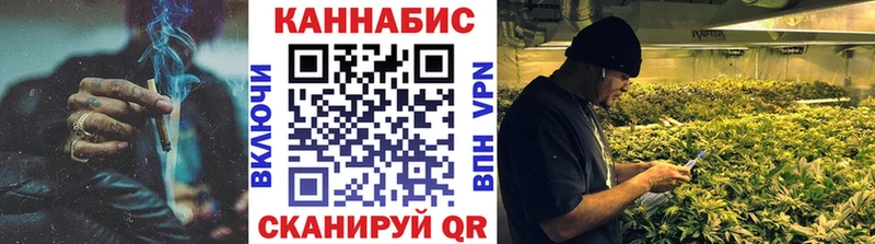 darknet телеграм  Новосокольники  Бошки марихуана сатива 
